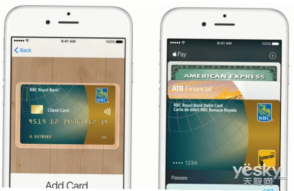 加拿大看球用Apple Pay：轻松支付，畅享赛事
