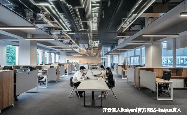 业务领域